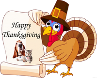 a thanksgiving greeting